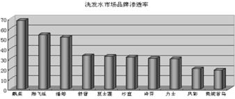 飘影洗发水营销策划案